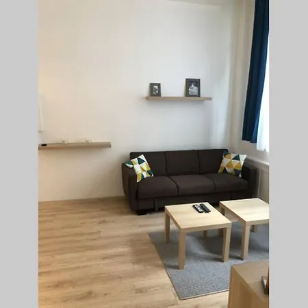 Daire Joli 2 Pieces En Centre , Gare A 50 Metres Grenoble